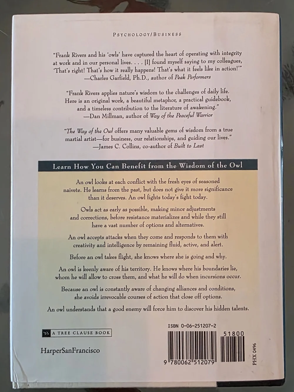 'The Way of the Owl' Hardcover - Blue & Cream